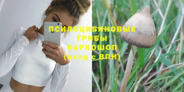 дмт Бородино