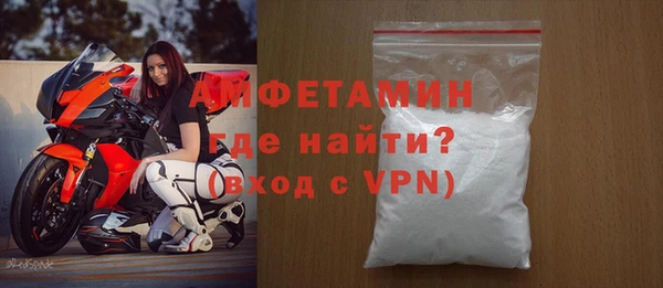 дмт Бородино