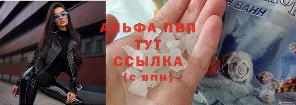 прущие крисы Новодвинск