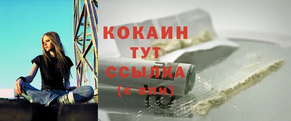 гидра Медвежьегорск