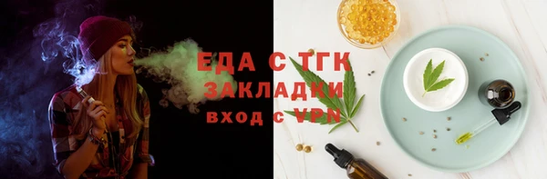 дмт Бородино