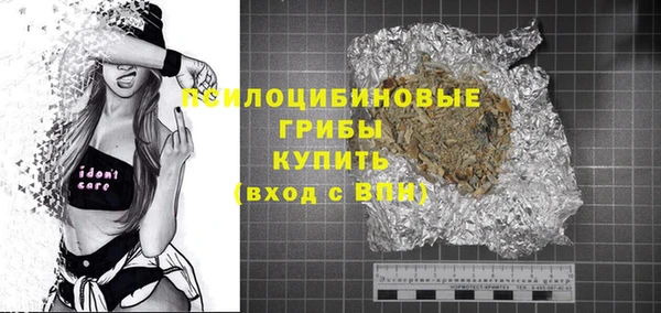 дмт Бородино