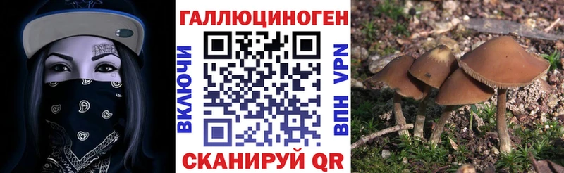 Псилоцибиновые грибы Magic Shrooms  Лыткарино 